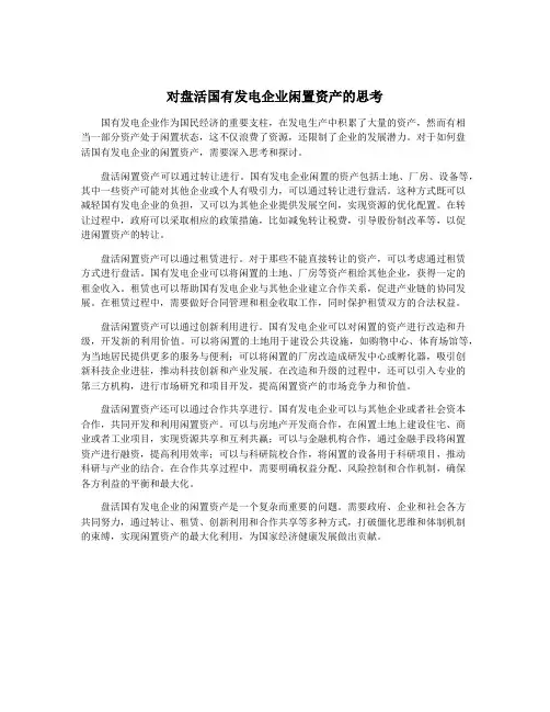 对盘活国有发电企业闲置资产的思考