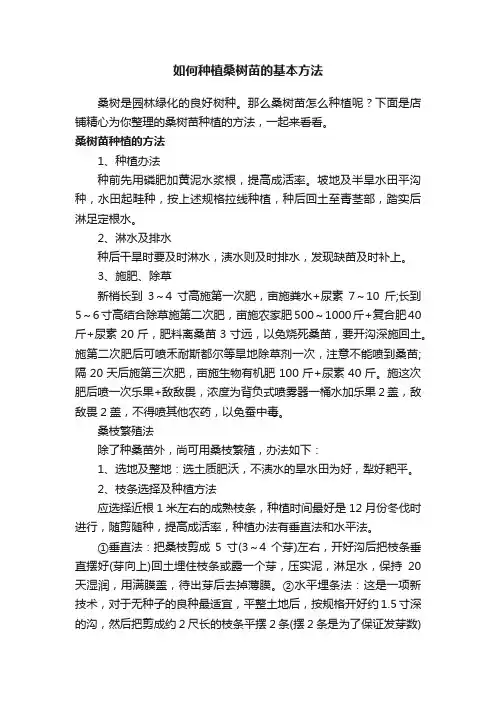 如何种植桑树苗的基本方法