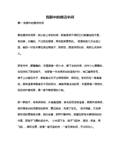 作文《我眼中的唐诗宋词》