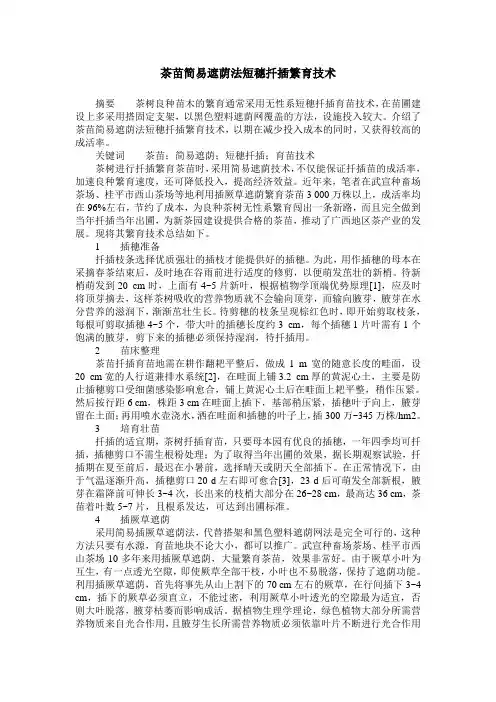 茶苗简易遮荫法短穗扦插繁育技术