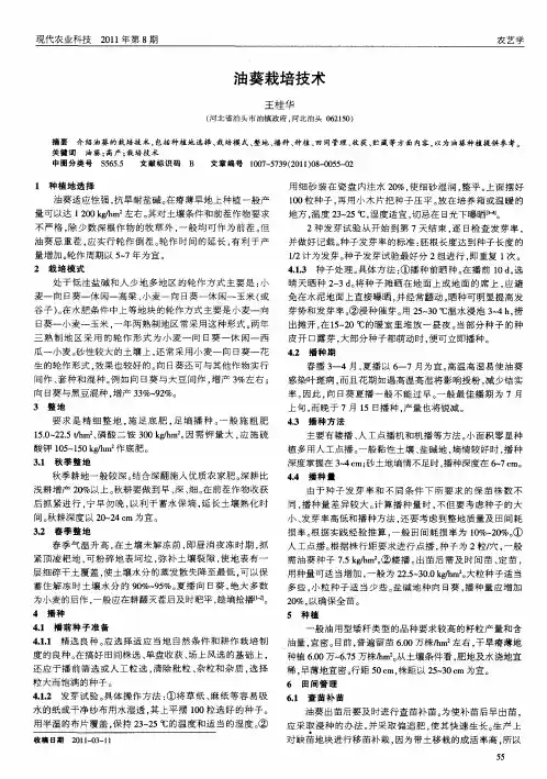 油葵栽培技术