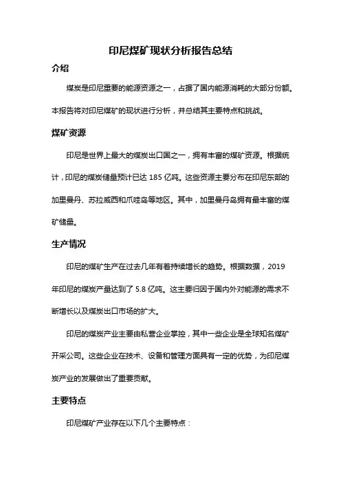 印尼煤矿现状分析报告总结