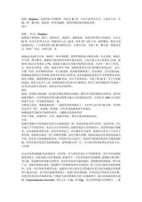 海豚