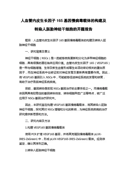 人血管内皮生长因子165基因慢病毒载体的构建及转染人胚胎神经干细胞的开题报告