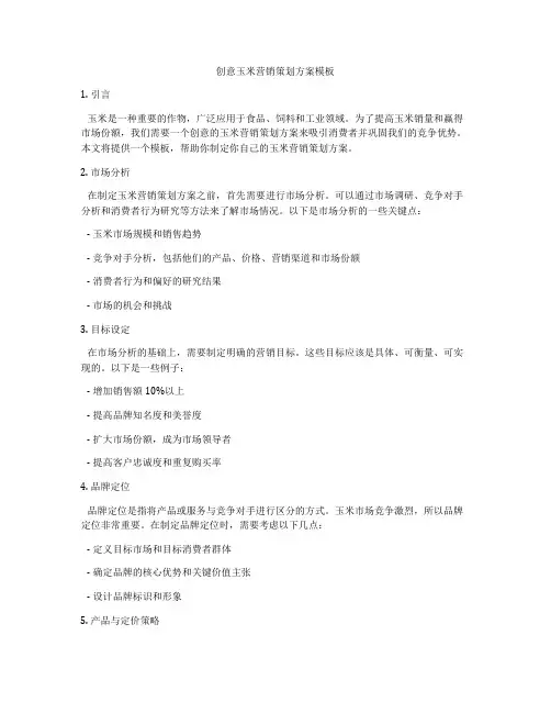 创意玉米营销策划方案模板