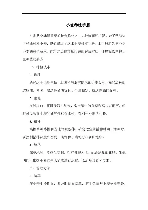 小麦种植手册