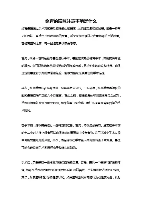 绝育的猫咪注意事项是什么