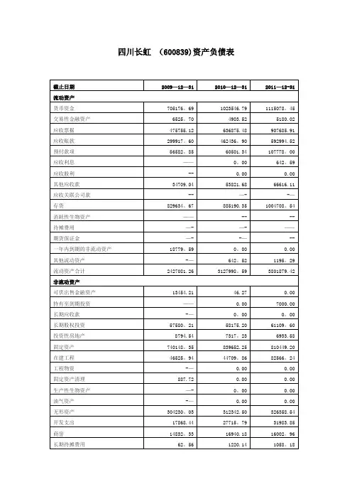 四川长虹财务报表