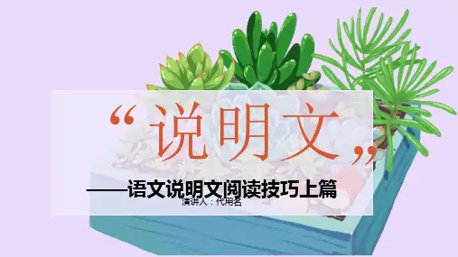 语文说明文阅读技巧上篇PPT模板课件