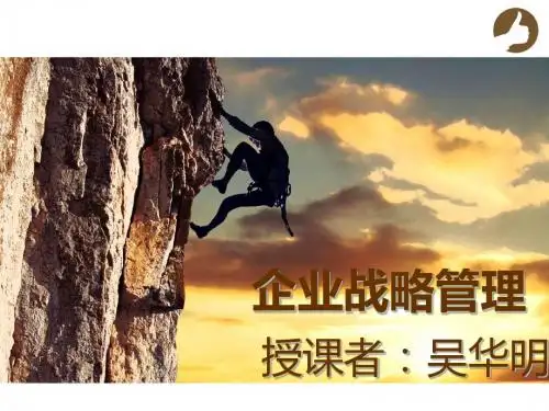 企业战略管理 (5)