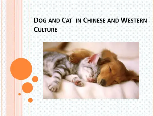 猫与狗在中西方文化中的差异