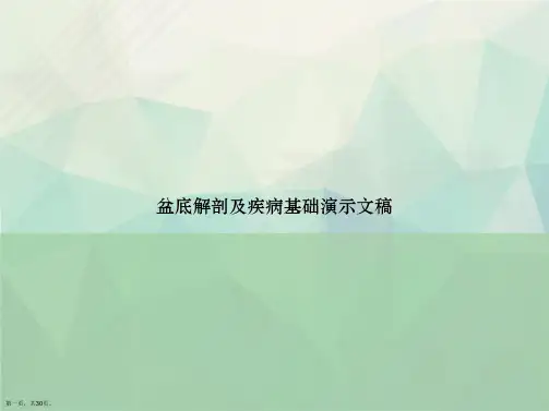 盆底解剖及疾病基础演示文稿讲课文档