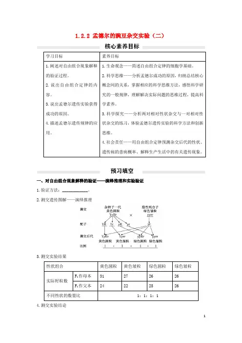 新教材高中生物孟德尔的豌豆杂交实验(二)讲义(无答案)新人教版必修2