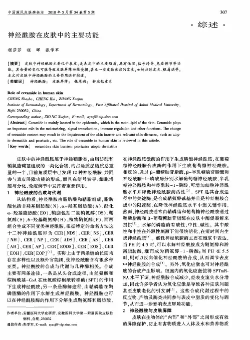 神经酰胺在皮肤中的主要功能