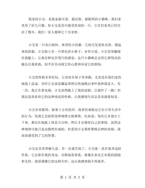我家的小宝作文范文