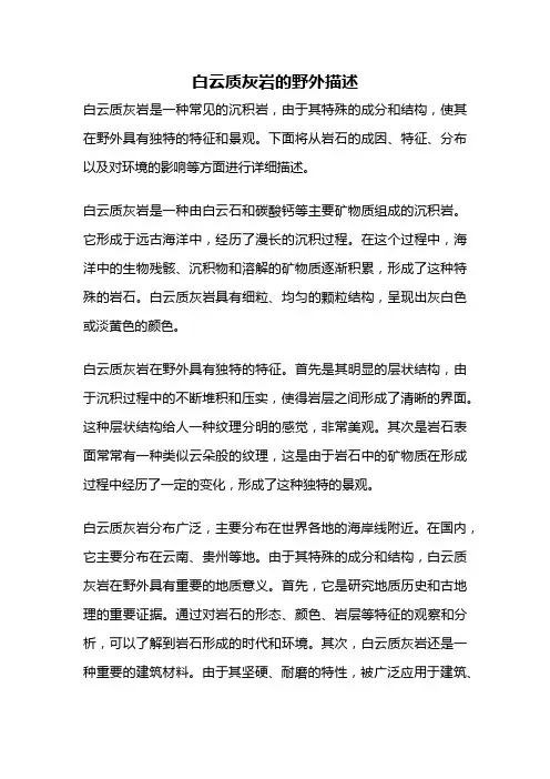 白云质灰岩的野外描述