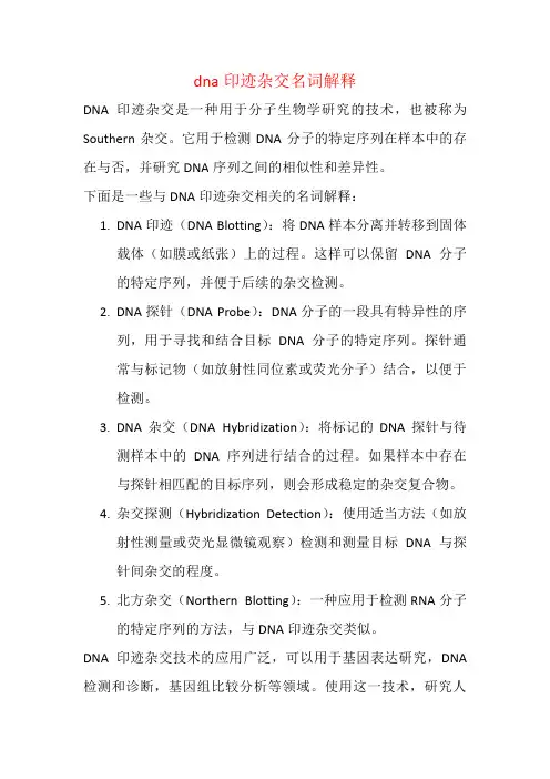 dna印迹杂交名词解释