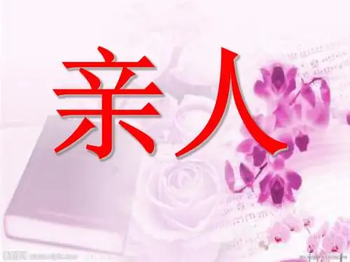 14再见了亲人课件ppt