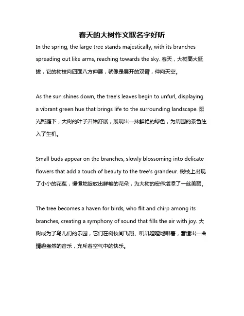 春天的大树作文取名字好听
