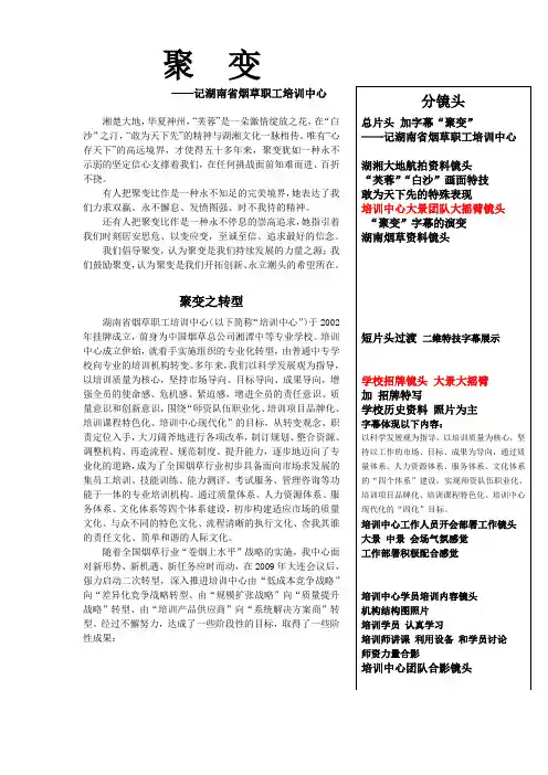 电视专题片拍摄脚本文案