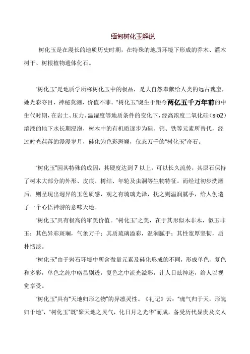 缅甸树化玉解说