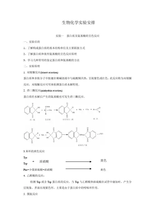 大学生物化学实验