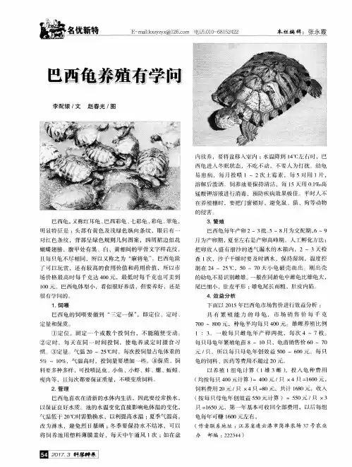 巴西龟养殖有学问