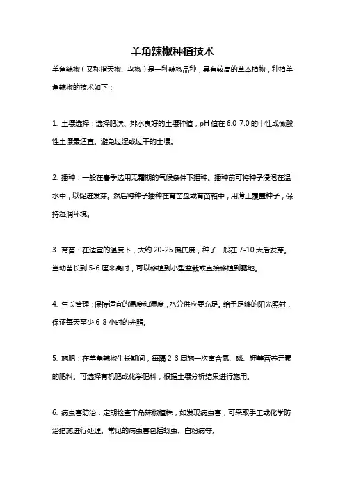 羊角辣椒种植技术