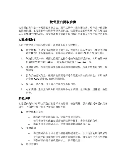 软骨蛋白提取步骤