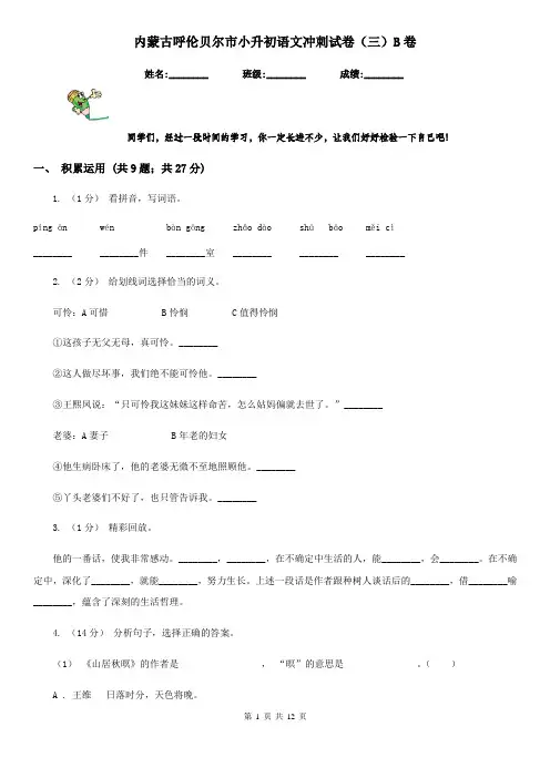 内蒙古呼伦贝尔市小升初语文冲刺试卷(三)B卷