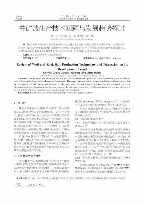 井矿盐生产技术回顾与发展趋势探讨