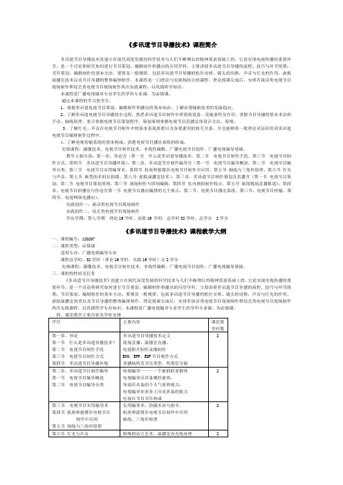 多讯道节目导播技术