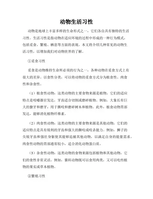 动物生活习性