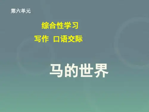 《马的世界》ppt课件2