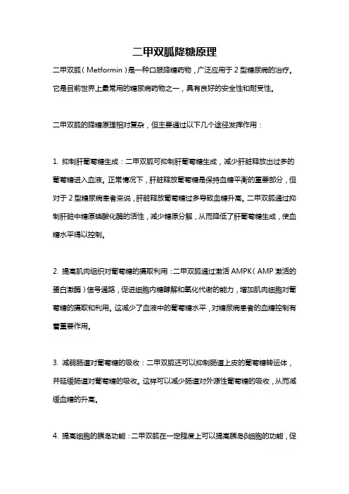 二甲双胍降糖原理