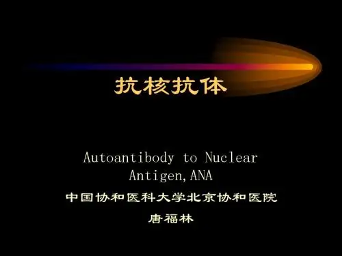抗核抗体 ANA