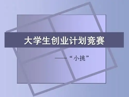 大学生创业计划竞赛