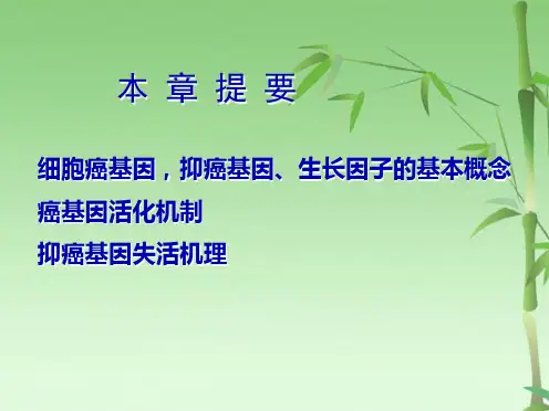 癌基因抑癌基因与生长因子(共152张PPT)