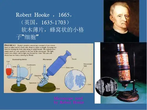 2018年生命科学导论03-细胞-文档资料