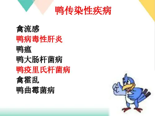 鸭病诊断与防制PPT.