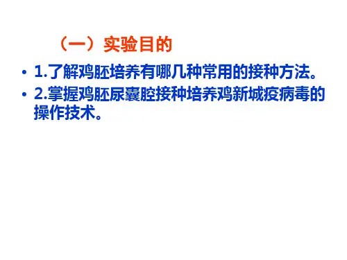 病毒的鸡胚培养法