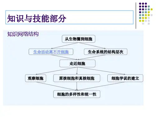 高中生物必修一第一章《走进细胞》