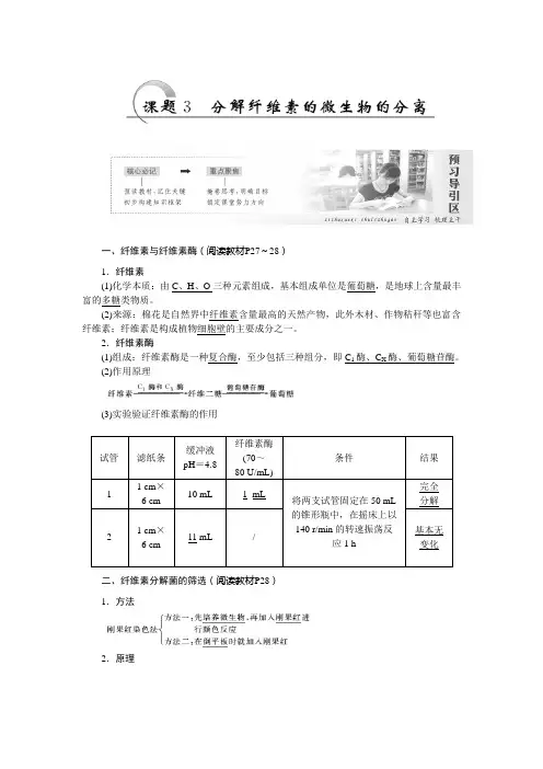 高二生物人教版选修一教学案：专题2 课题3 分解纤维素的微生物的分离 Word版