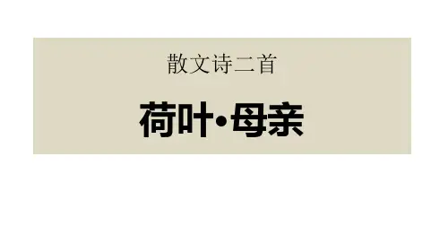 散文诗二首《荷叶母亲》