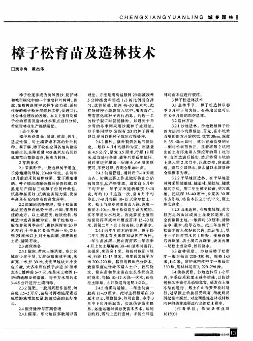 樟子松育苗及造林技术