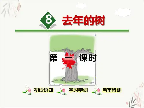 去年的树ppt课件(完美版)