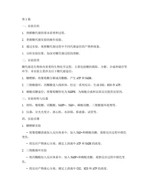 糖代谢的实验报告(3篇)