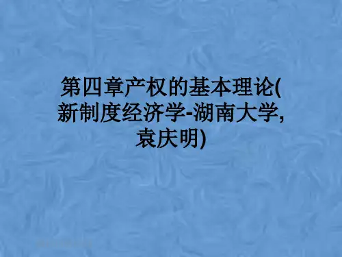 第四章产权的基本理论(新制度经济学-湖南大学,袁庆明)