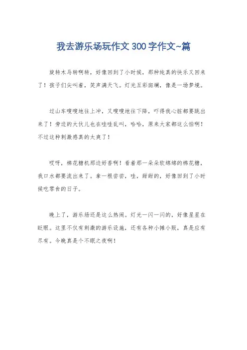我去游乐场玩作文300字作文~篇