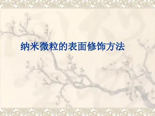 纳米微粒的表面改性共26页